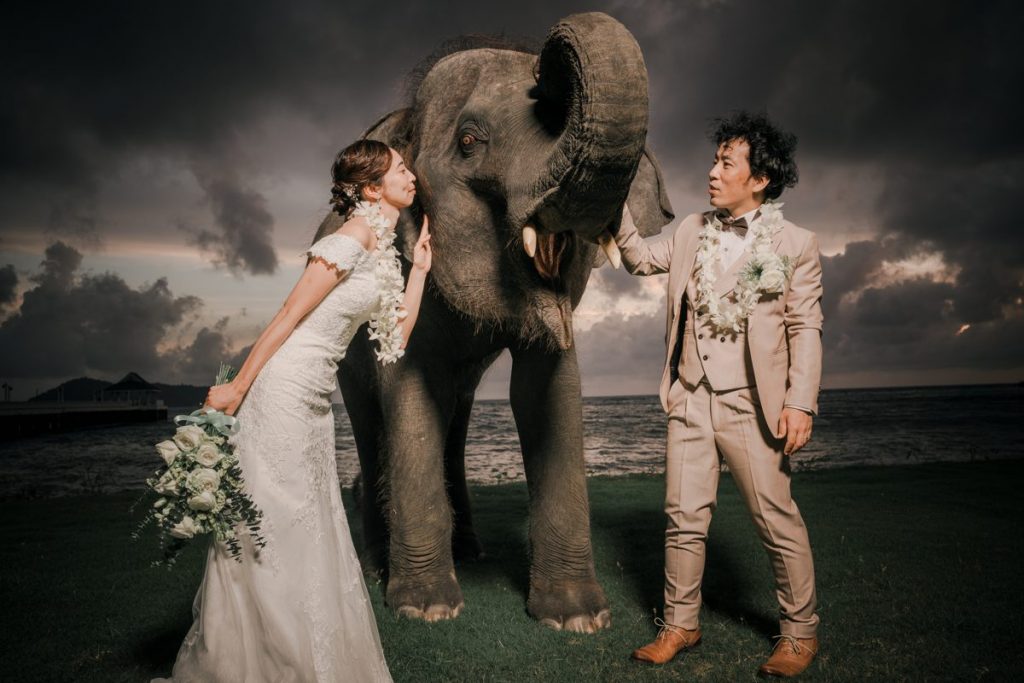 タボンビーチ結婚式　理想が叶った象撮影＆ピア挙式